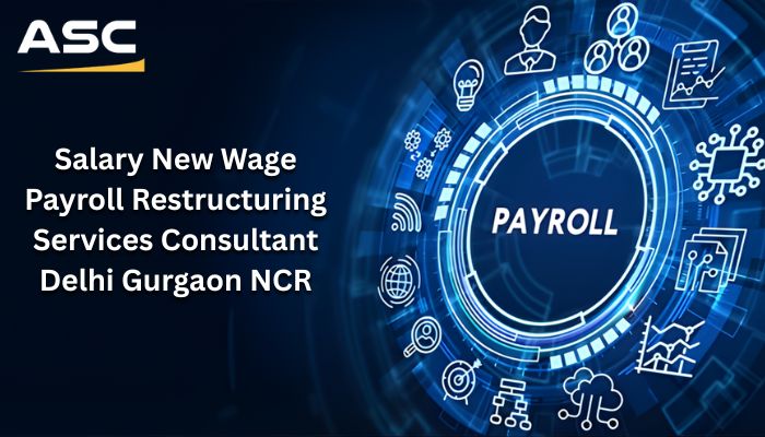 Salary Payroll Restructuring Services Consultant Delhi, Gurgaon & NCR
